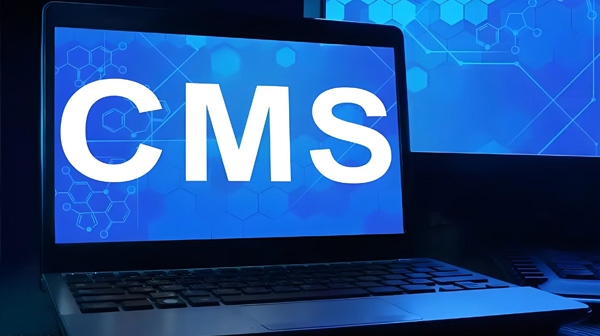 CMS：引領(lǐng)企業(yè)網(wǎng)站設(shè)計(jì)新風(fēng)尚